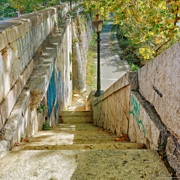 On the banks of the Tiber (mbv-07065-100x100)